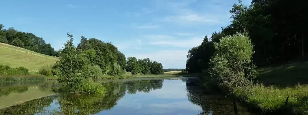 Eigental